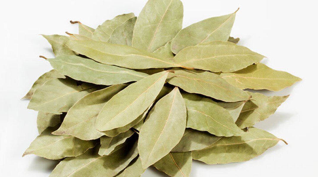 Seğmen Defne Yaprağı 10 G Poşet