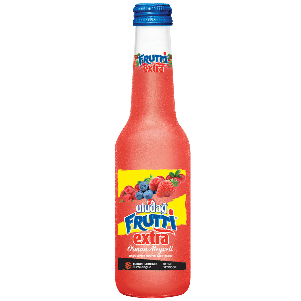 Fruttı Extra Orman Meyveli 250 Ml