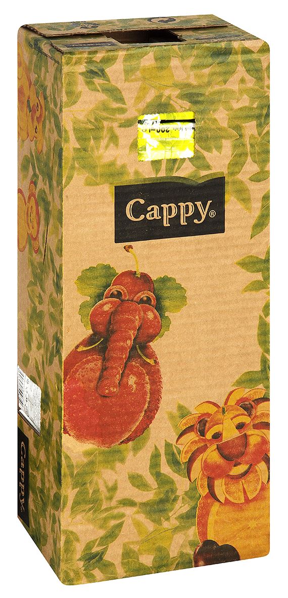 Cappy Karışık Meyve Nektarı 200 Ml*27Ad