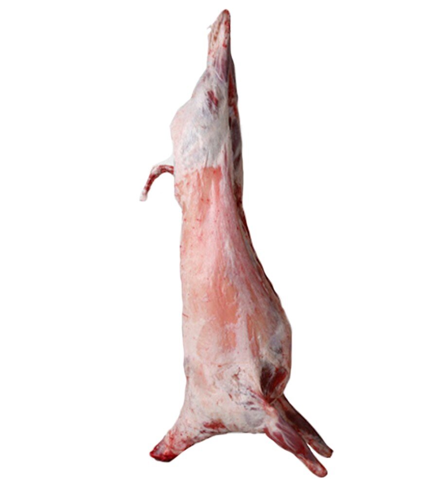 Toptan Kuzu Karkas Kg