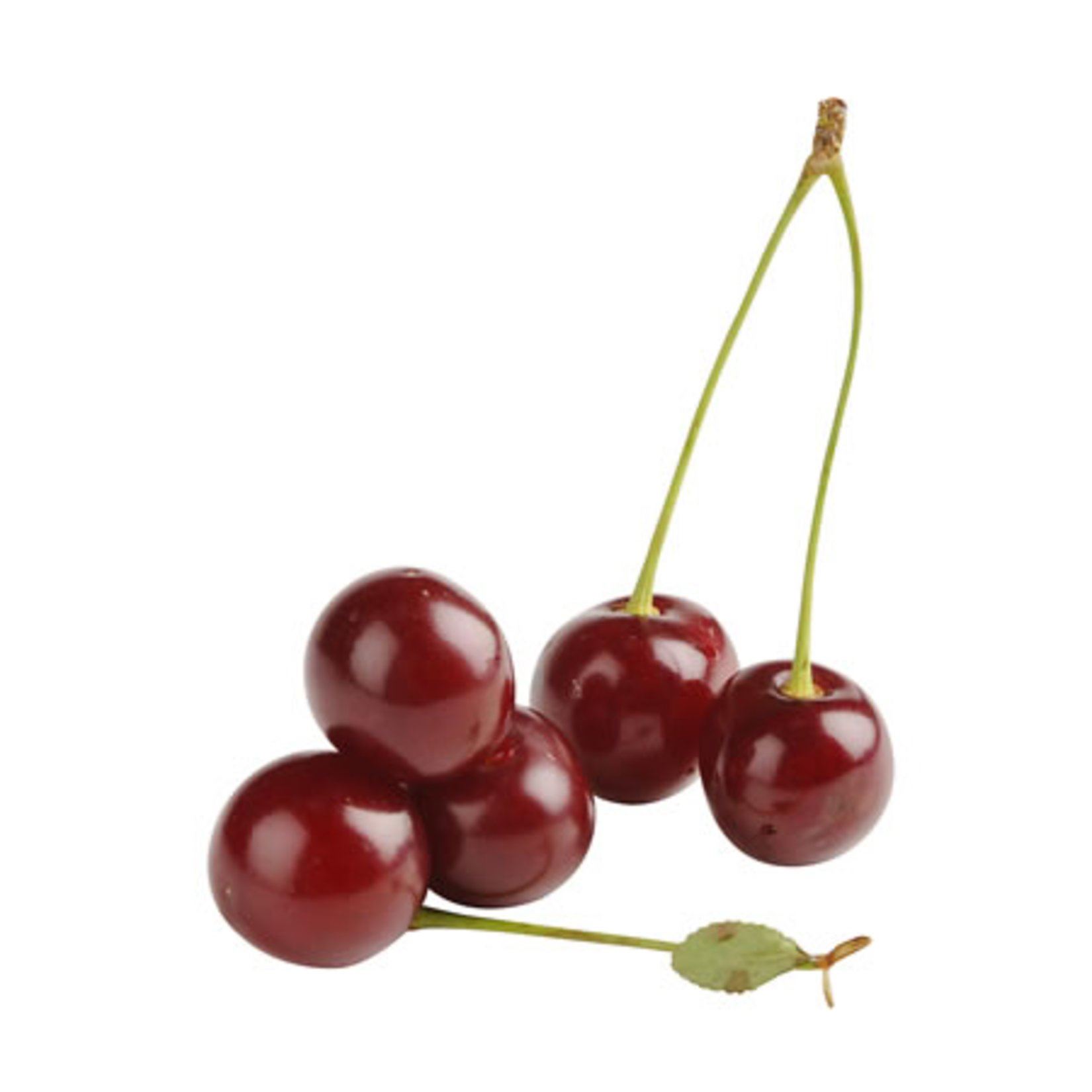 Vişne Kg