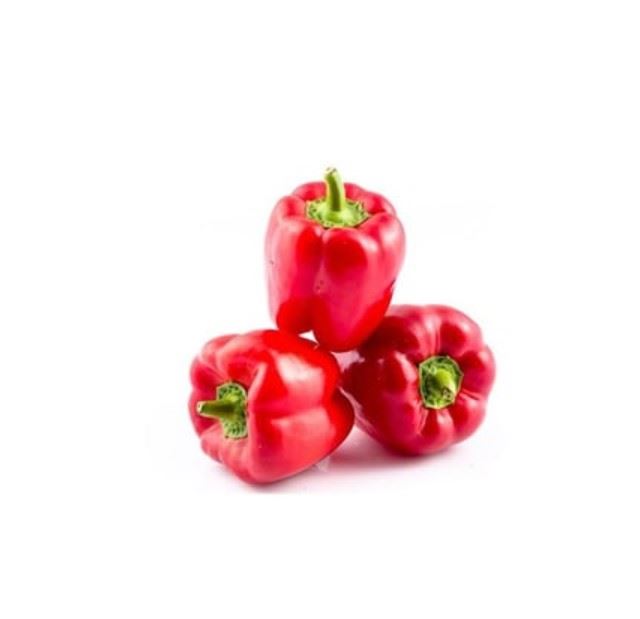 Biber Amerikan Kırmızı