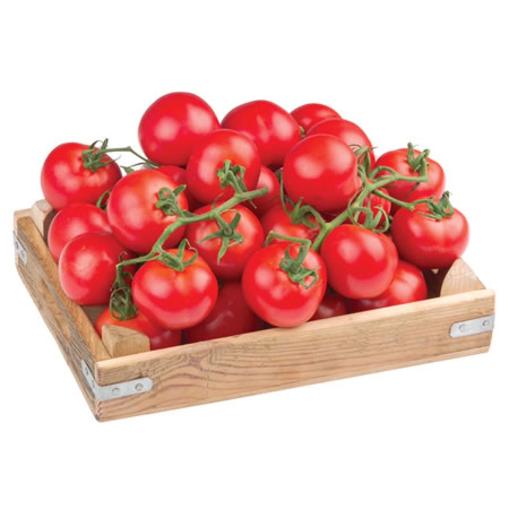 Cc Domates Salkım  Kg