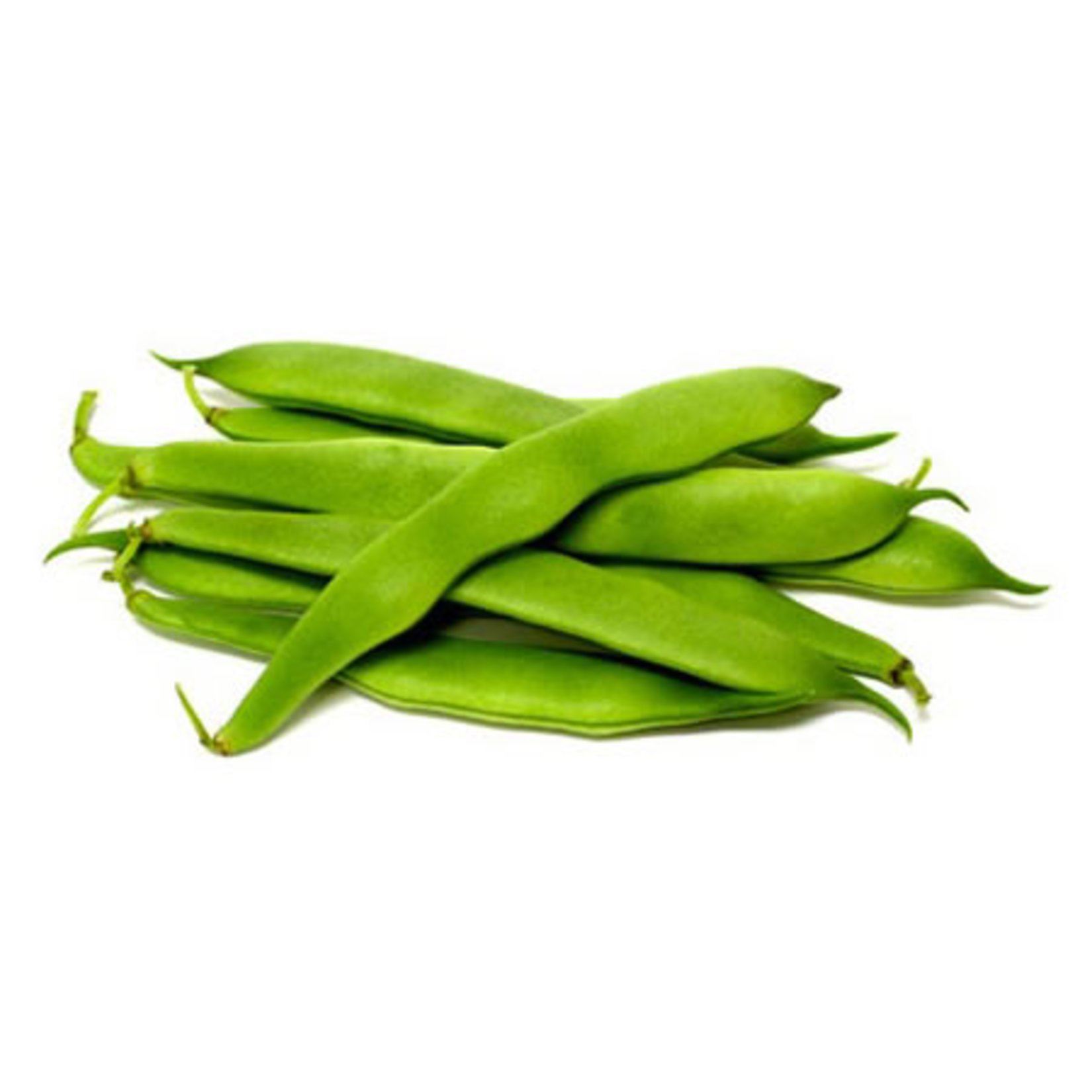 Cc Fasulye Çalı Kg.