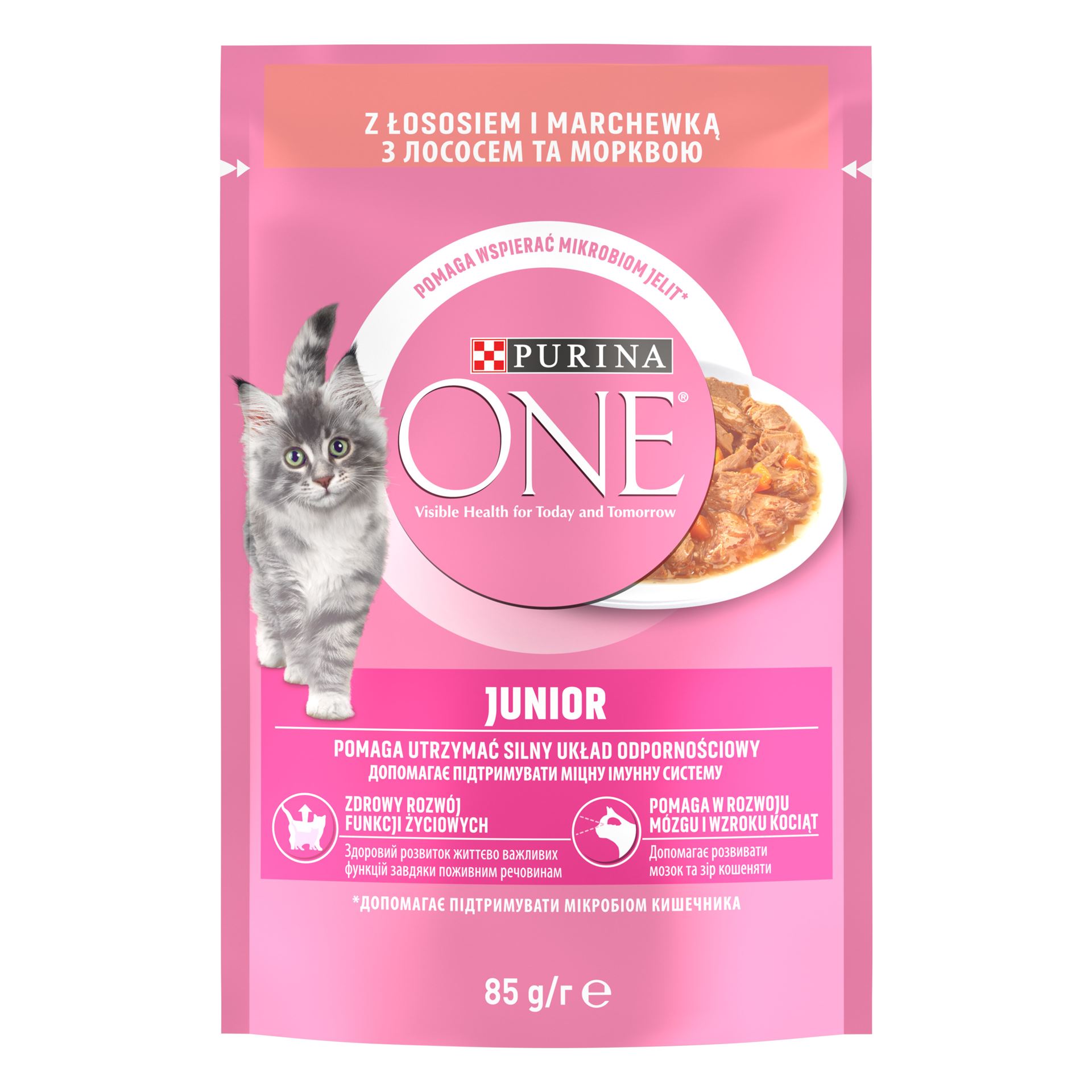 Purına One Yavru Kedi Maması Somon&Havuç 85G