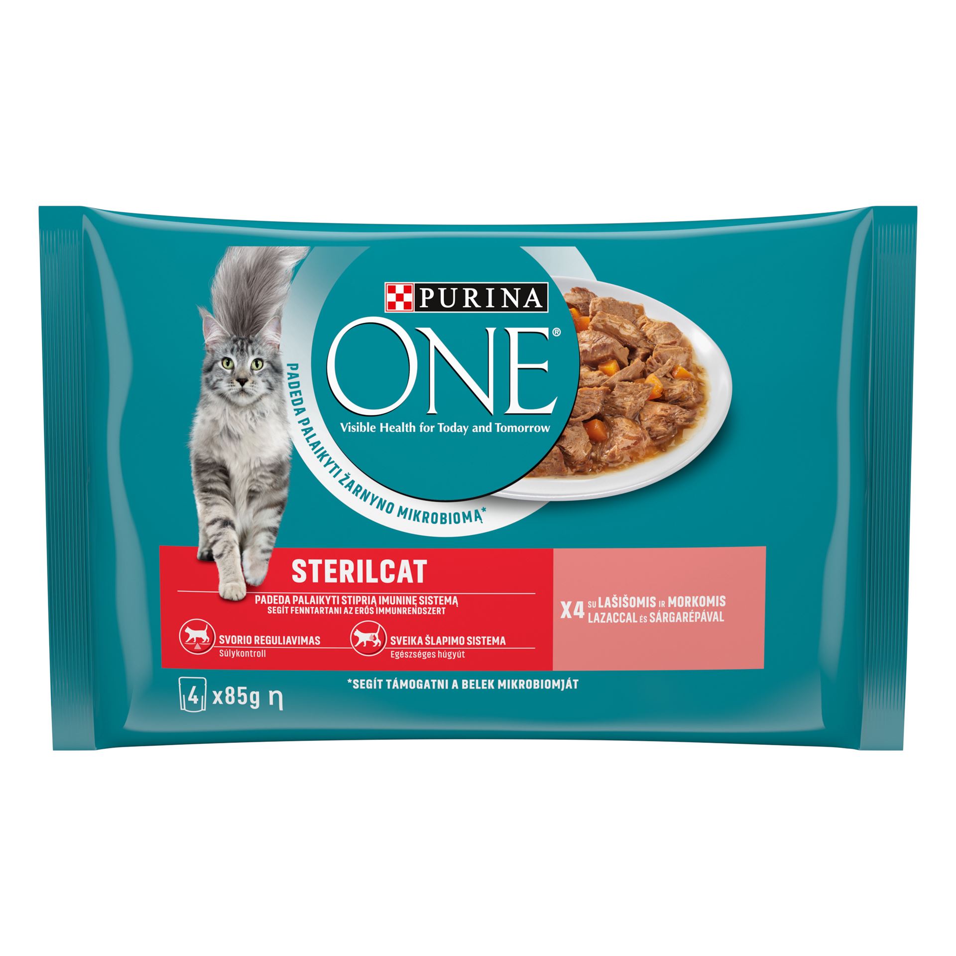 Purına One Kısır.Kedi Maması Somon&Havuç 4X85g