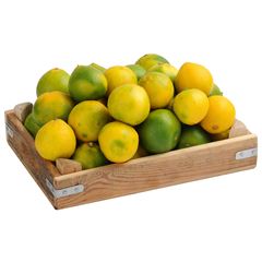MANDALINA KG